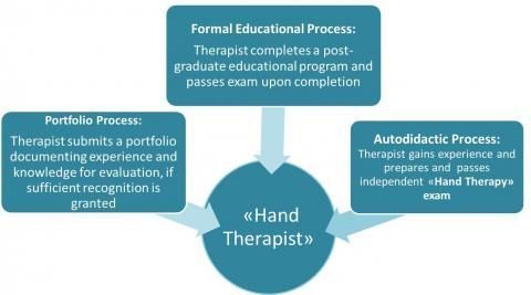 Paths to becoming a Hand Therapist